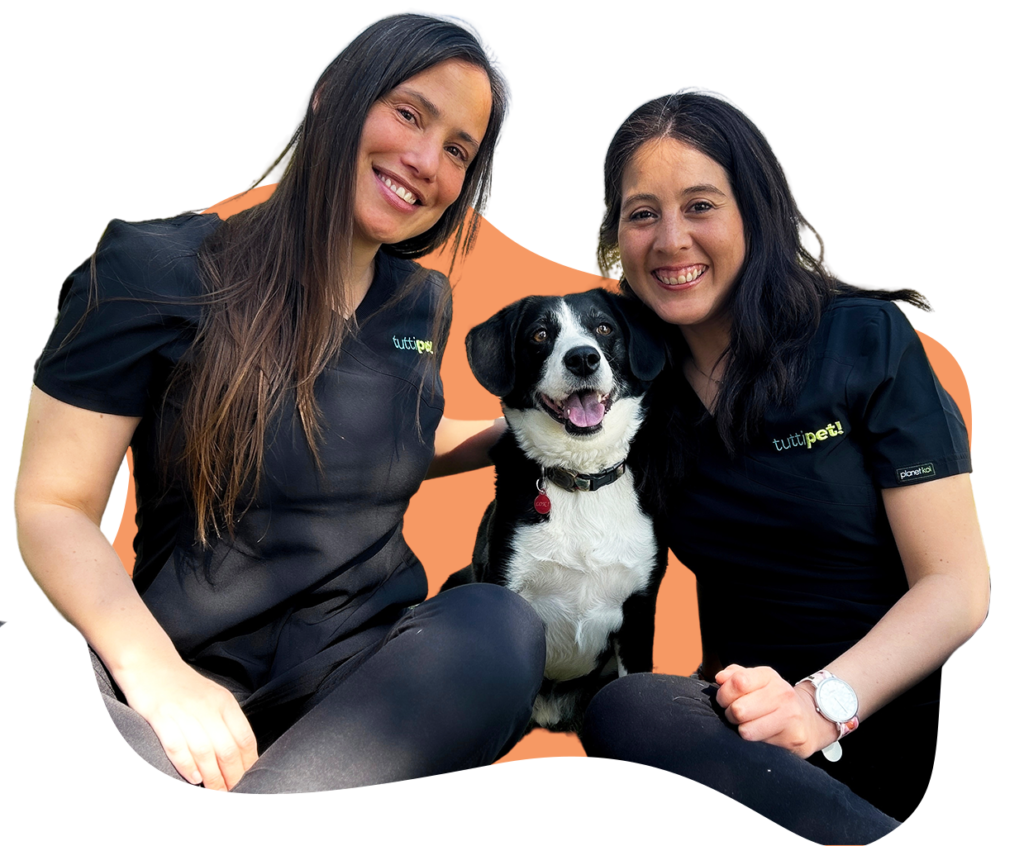 Veterinaria a domicilio en Santiago